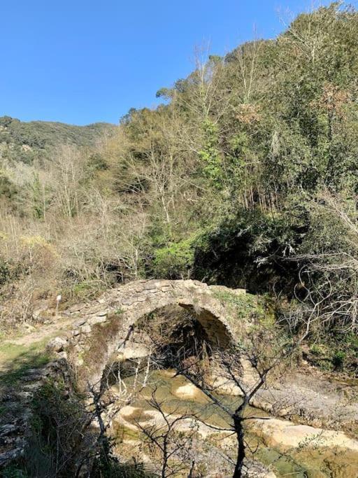 Casa Bertagna Appartement Rocchetta Nervina Buitenkant foto